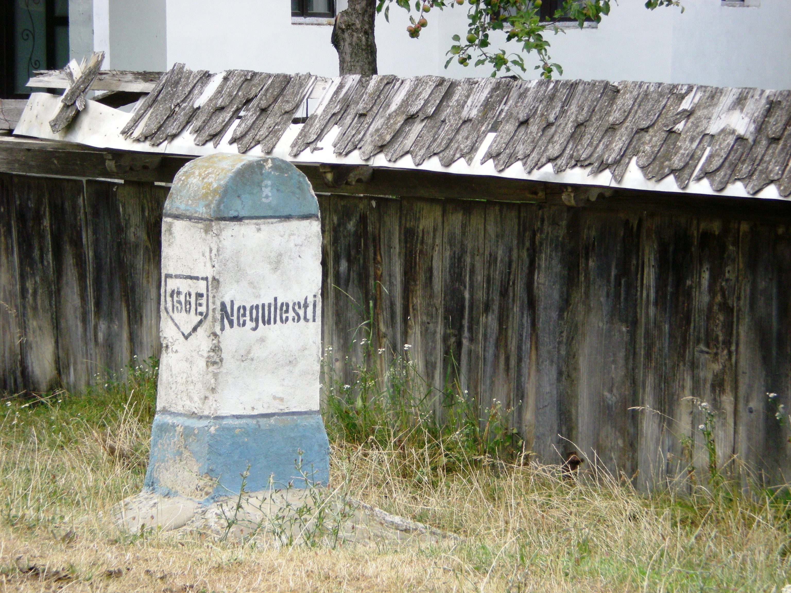 Negulesti